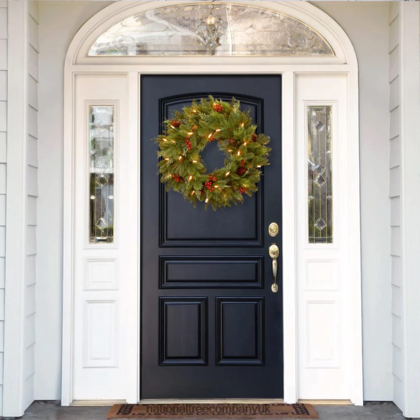 Greenery | National Tree Company Pre-Lit Artificial Christmas Wreath Green Noelle White Lights Decorated with Pine Cones Berry Clusters Christmas Collection 24 Inches F2L4F254